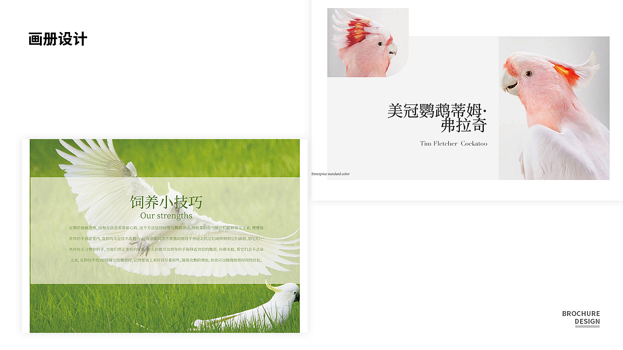 个人作品集（图ZMjgwNDczMTQw） - 书籍/画册 - 站酷设计师解忧公主原创素材 - 站酷ZCOOL