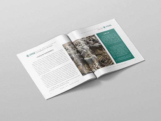 中羊牧业画册-商务画册