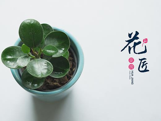 花·匠|花店LOGO设计