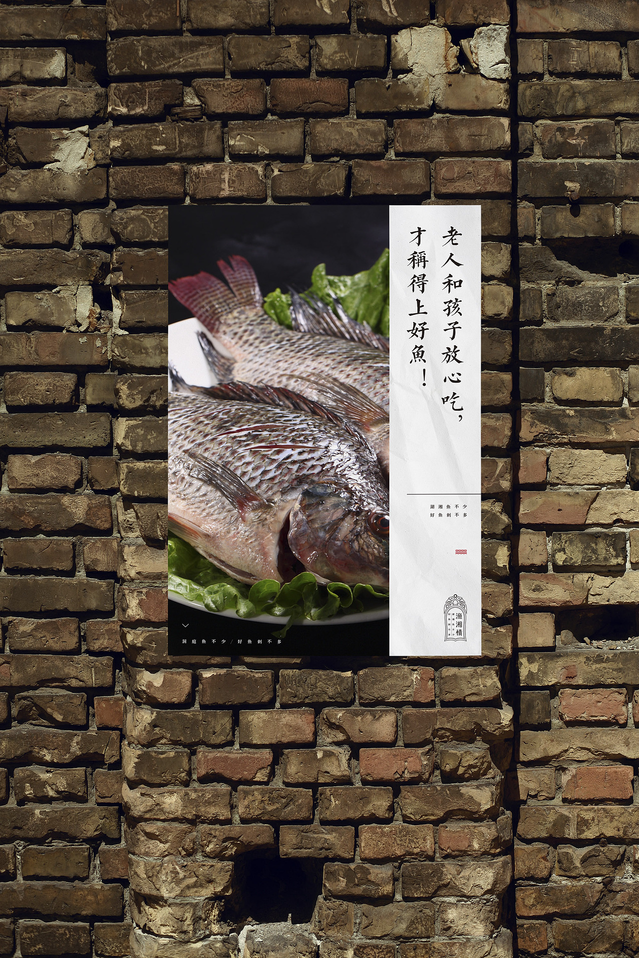 2016年区别飞机稿-《渔湘情》