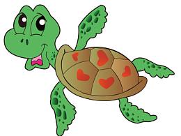 小烏龜