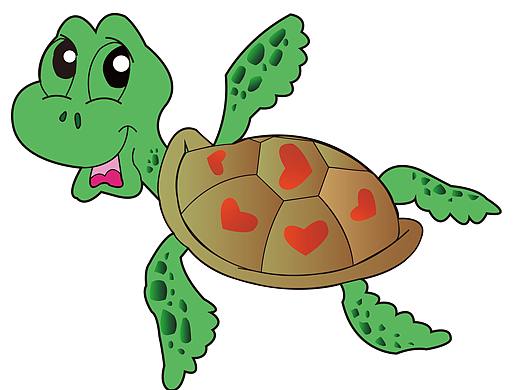 小乌龟