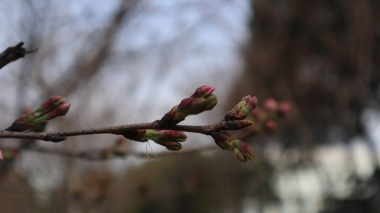 《眼前便是最好》（图ZMzA5MjA0NDA4） - 其他摄影 - 站酷设计师简浩原创素材 - 站酷ZCOOL