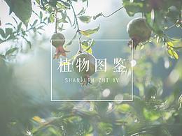 摄影专业知识