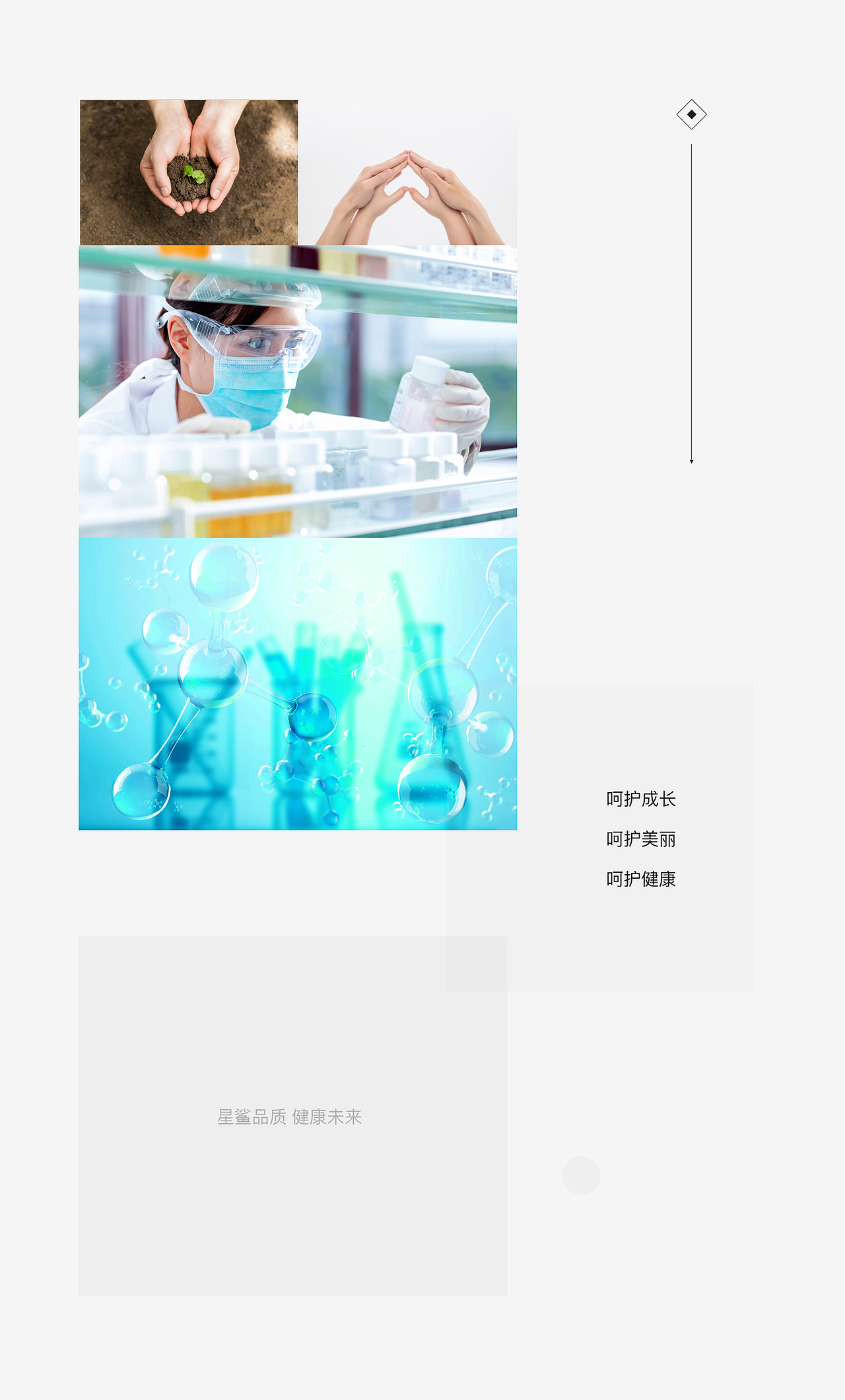 国控星鲨logo&徽标提案（图ZMjk1ODczNDY0） - Logo - 站酷设计师a巴沙原创素材 - 站酷ZCOOL