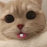 阿鹿呀的头像