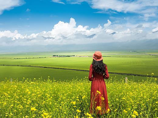 画笔画蝴蝶（个人主页-ZNDQ2MDQxMjQ=） - 图案 - 站酷设计师七七的梧桐树原创素材 - 站酷ZCOOL