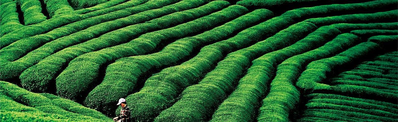 户外广告牌设计