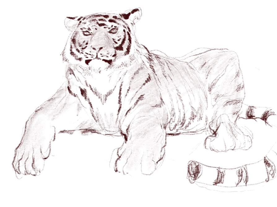 地铁上练习（动物篇）（图ZMTQ4MTk0NjQ0） - 创作习作 - 站酷设计师S肚子爱画画D原创素材 - 站酷ZCOOL