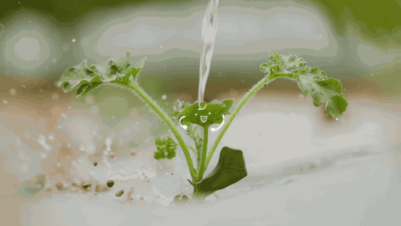 《向往的生活》第四季节目花字以及动画包装-大千影业（图ZMjA2ODc5OTA0） - 栏目片头 - 站酷设计师OHA_Studio原创素材 - 站酷ZCOOL