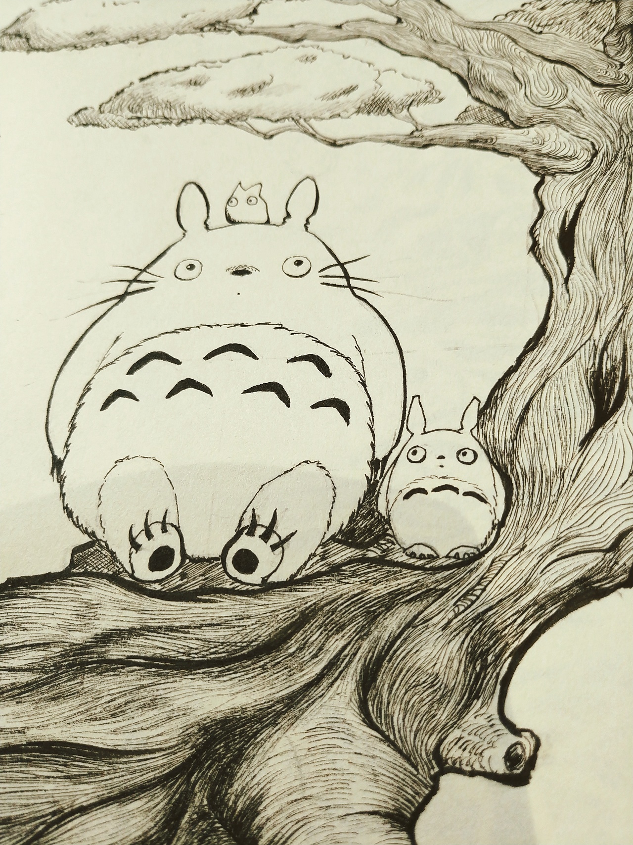 龙猫动画片壁纸高清大图(9)-动漫图片大全_5068动画片大全