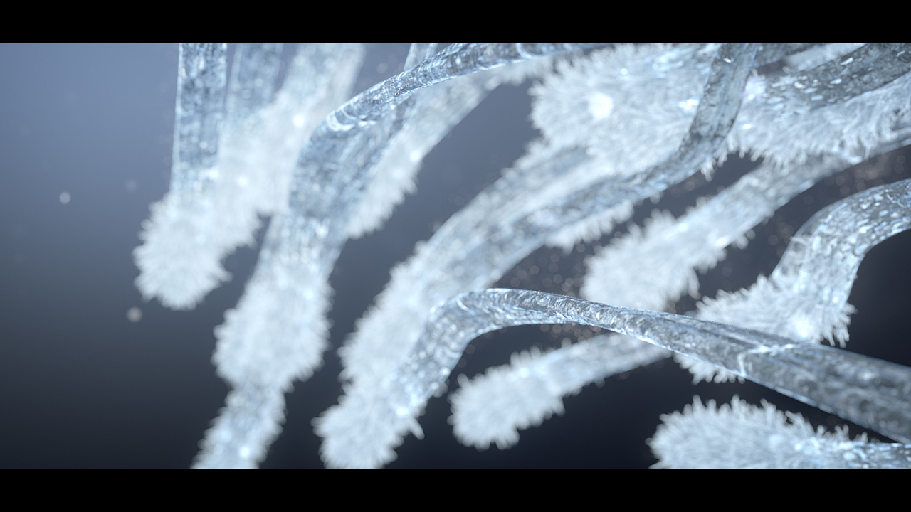 JingGuan investment company opening