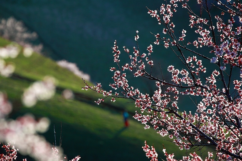 光影生活-摄影-人像-风景-写真-日出日落-构图