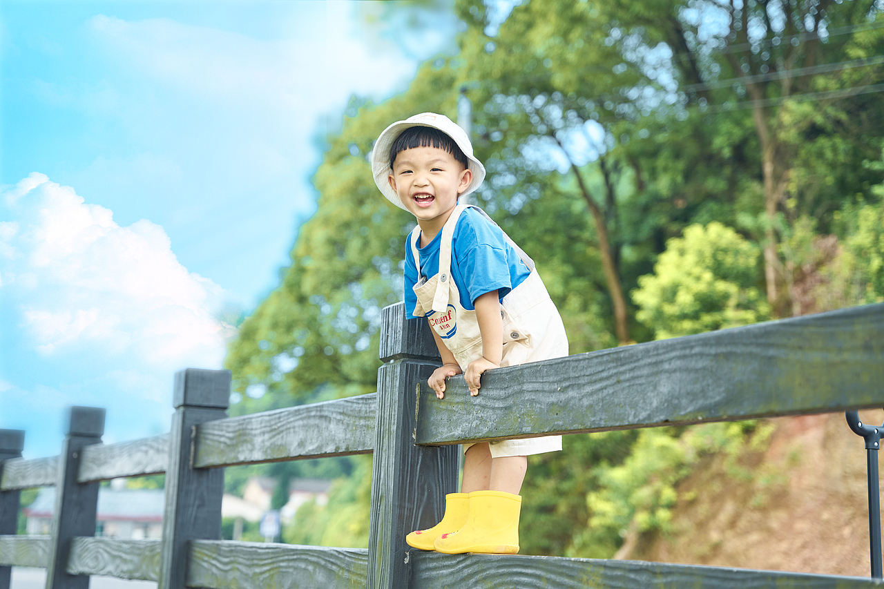 一树 一人 一猫