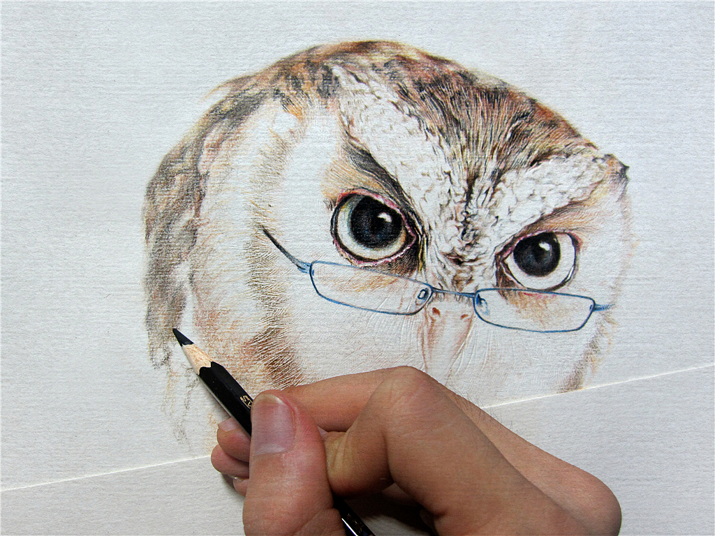 纸上彩铅-《福鸟花鸮》绘制过程（图ZMjcxNzI5OTI=） - 绘画 - 站酷设计师超超的青葱原创素材 - 站酷ZCOOL