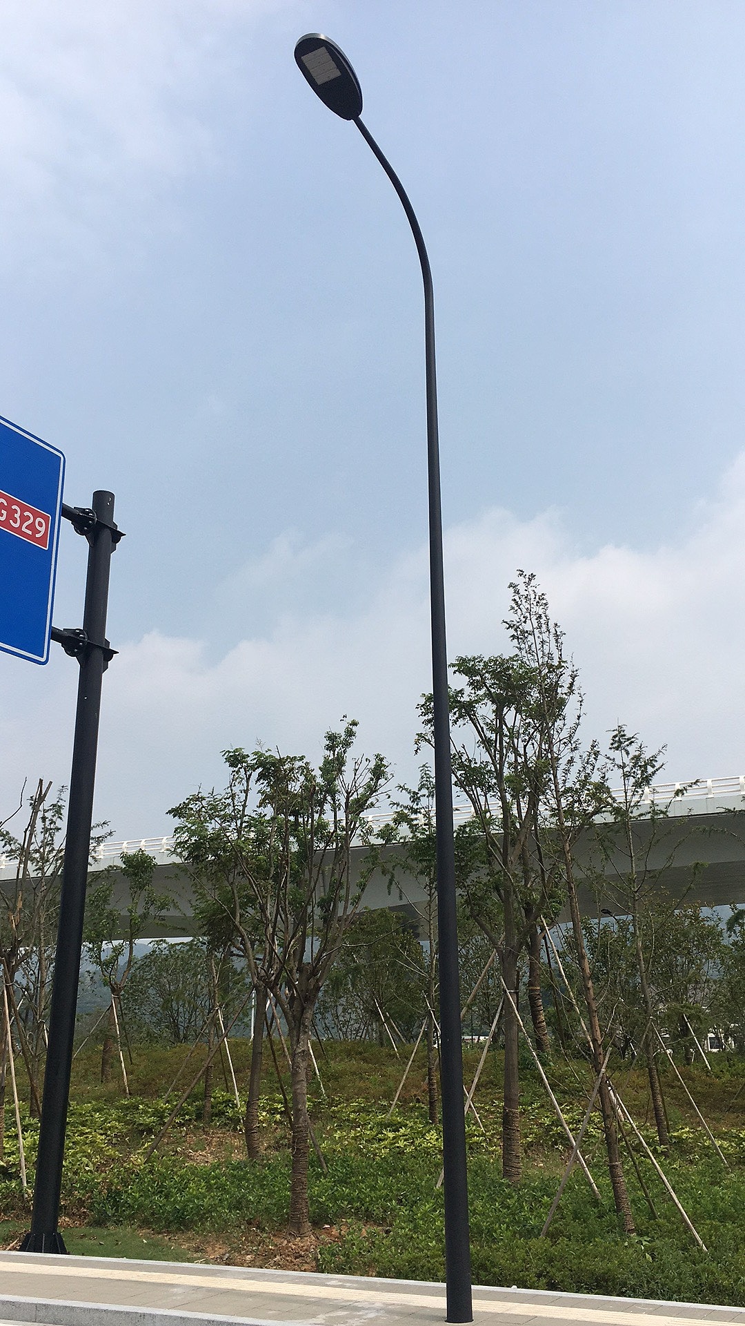 8米自弯臂路灯杆记忆灯