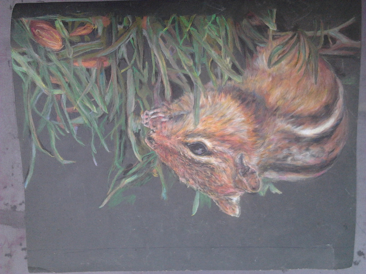 平时的自己画着玩儿