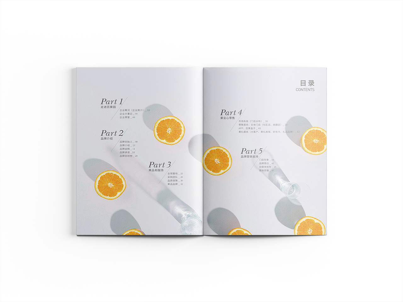 鲜果品牌画册