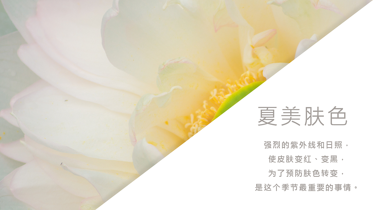 朱颜荟社交科美菜单