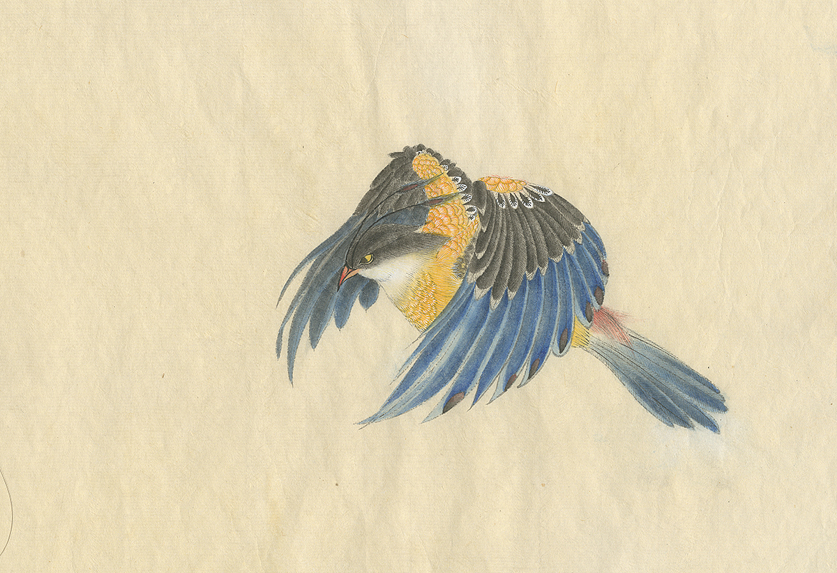 （by 老三）派格元年（2011-2012）（圖ZMzk0MTYzNDg=） - 藝術插畫 - 站酷設計師老三叁原創(chuàng)素材 - 站酷ZCOOL