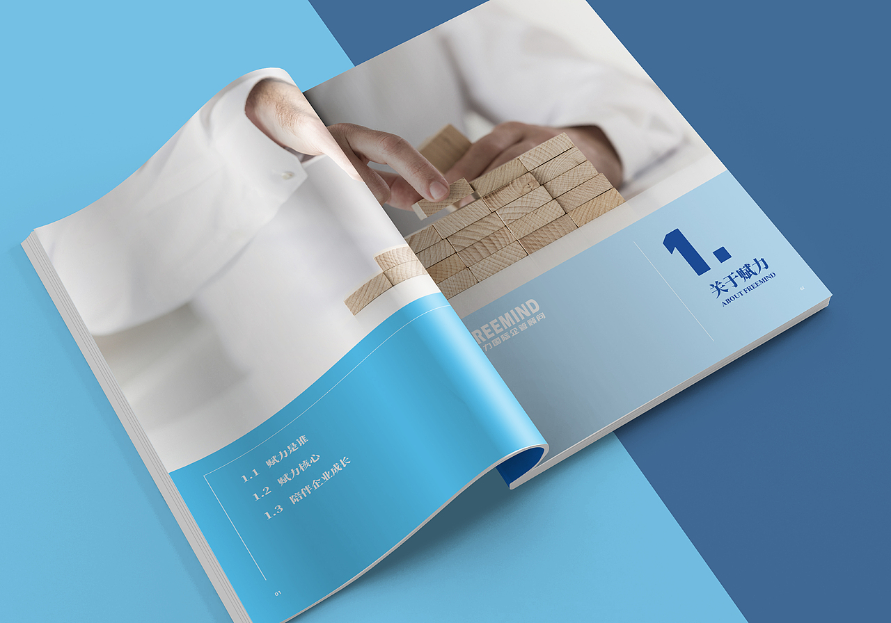 咨询公司画册设计（图ZMjYzNzA2NjUy） - 书籍/画册 - 站酷设计师GeesCreative原创素材 - 站酷ZCOOL