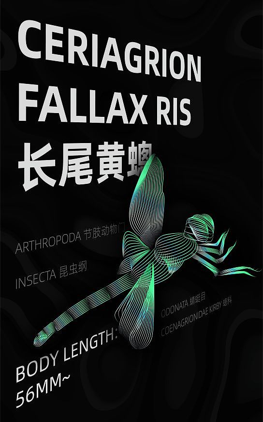 《溯泽》湿地生态保护信息可视化设计