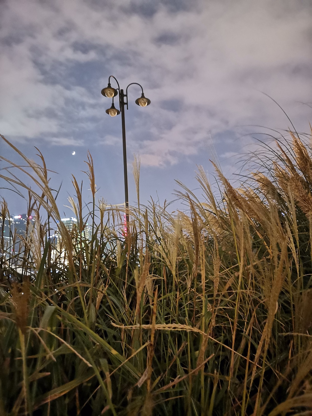 双11手机摄影街拍（图ZMTgzMzA4OTI4） - 人文/纪实摄影 - 站酷设计师pigtruman原创素材 - 站酷ZCOOL