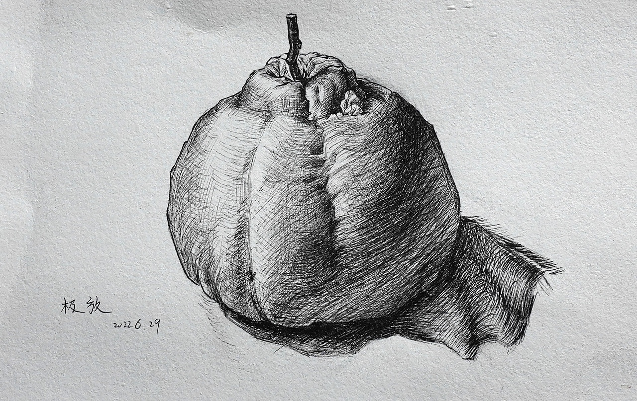 画105嘛啦个巴子极放布纹极放梨极放静物素描极放静物1号—丙烯98表情