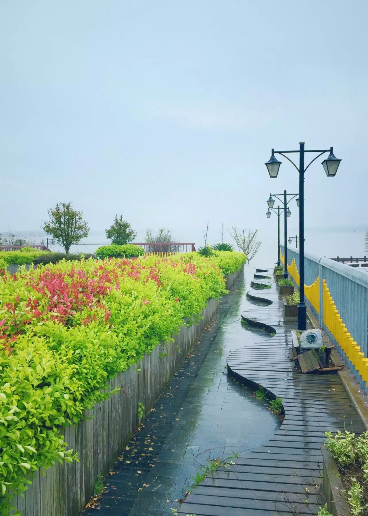 雨中漫步/上海崇明岛明珠湖/西沙湿地 公园|摄影|风光摄影|程阅川 - 原创作品 - 站酷 (ZCOOL)