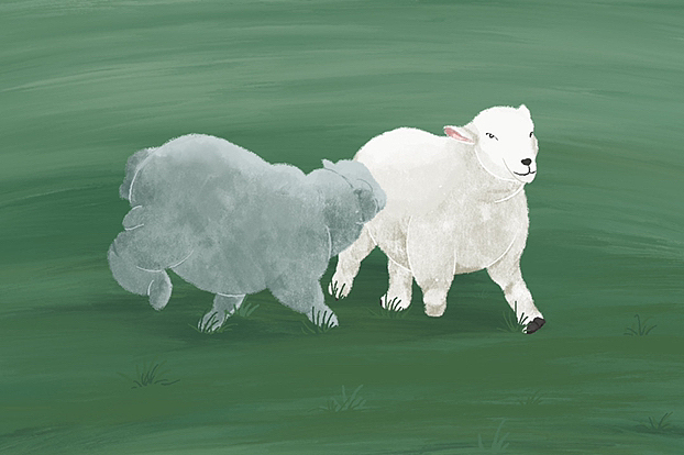 羊咩咩｜练习作（图ZMzE3ODc5NjI4） - 创作习作 - 站酷设计师艮音原创素材 - 站酷ZCOOL