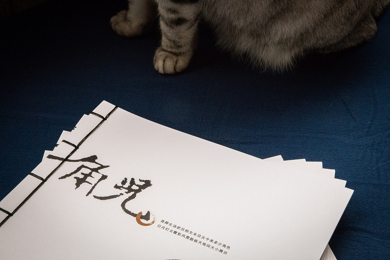 【角儿】尧舜生汤武旦桓文未旦古今来多少角色 日月灯云霞彩风雷鼓板天地间大小舞台（图ZNjg2OTk4ODQ=） - 书籍/画册 - 站酷设计师DeJay王健原创素材 - 站酷ZCOOL