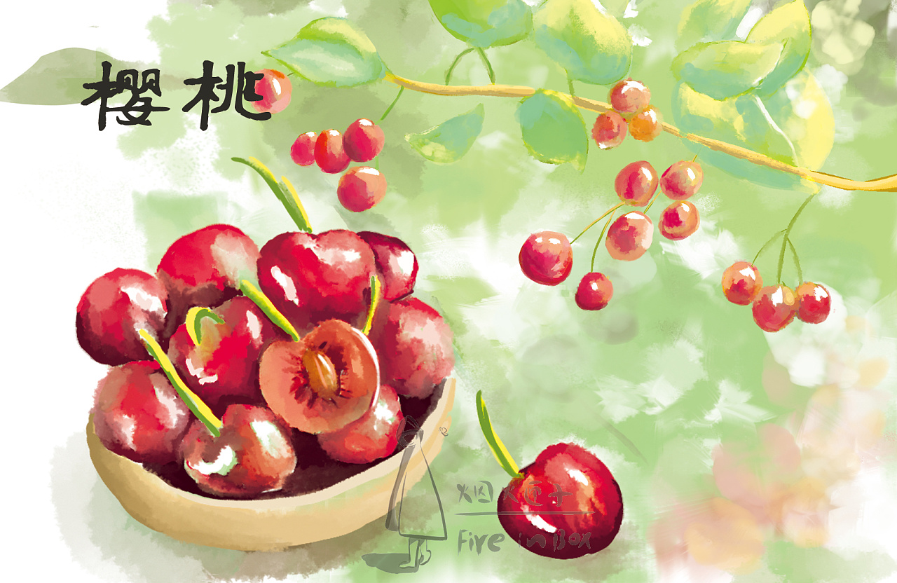 水彩樱桃|插画|商业插画|菜园朵朵 - 原创作品 - 站酷 (zcool)
