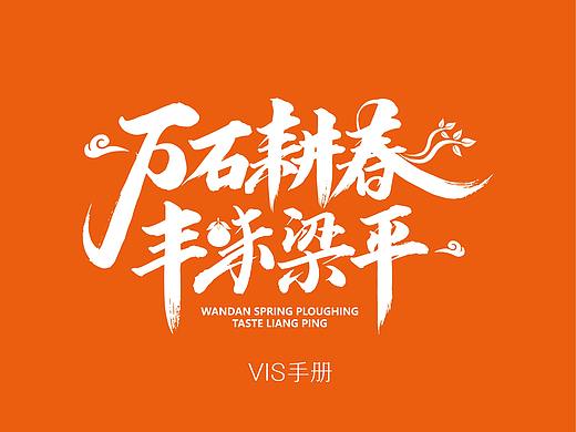 重庆梁平区域品牌VIS及农副产品包装