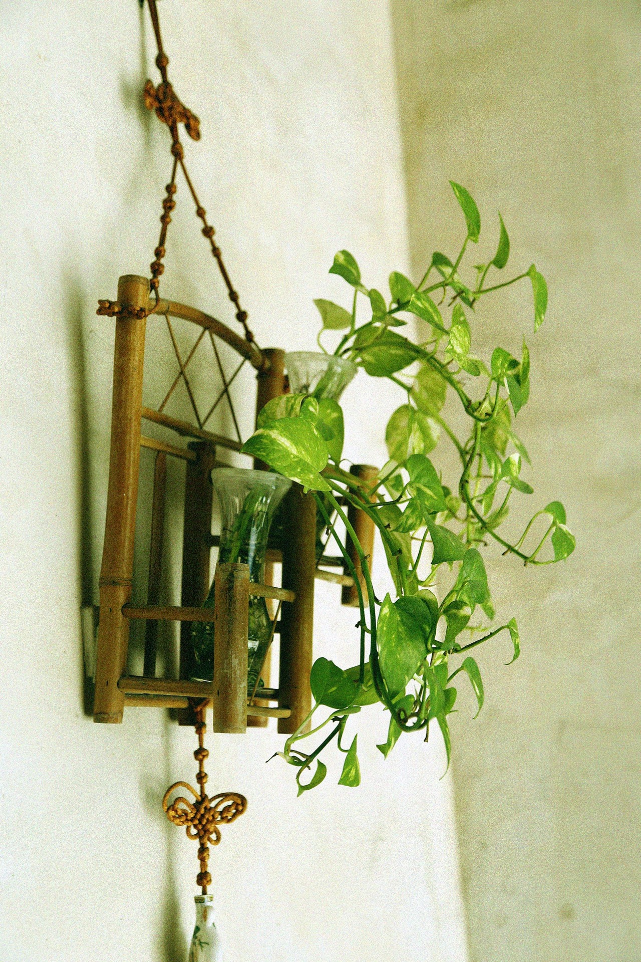 鹿港小鎮--贈予你一場舊夢