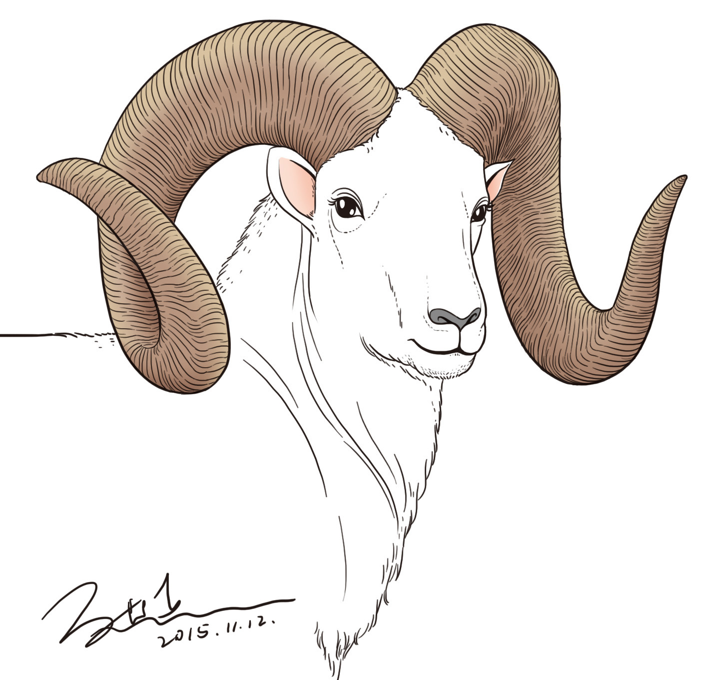 野生动物线描练习|插画|插画习作|miro_zj - 原创作品 - 站酷 (zcool)