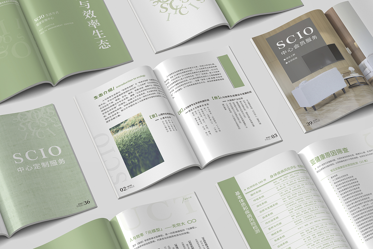 2020 画册排版设计丨商业案例（图ZMjU0OTYxODQ4） - 书籍/画册 - 站酷设计师可能是一只鱼原创素材 - 站酷ZCOOL