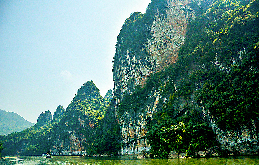 陡峭的石壁，强韧的树木，喀斯特地貌特有的结构