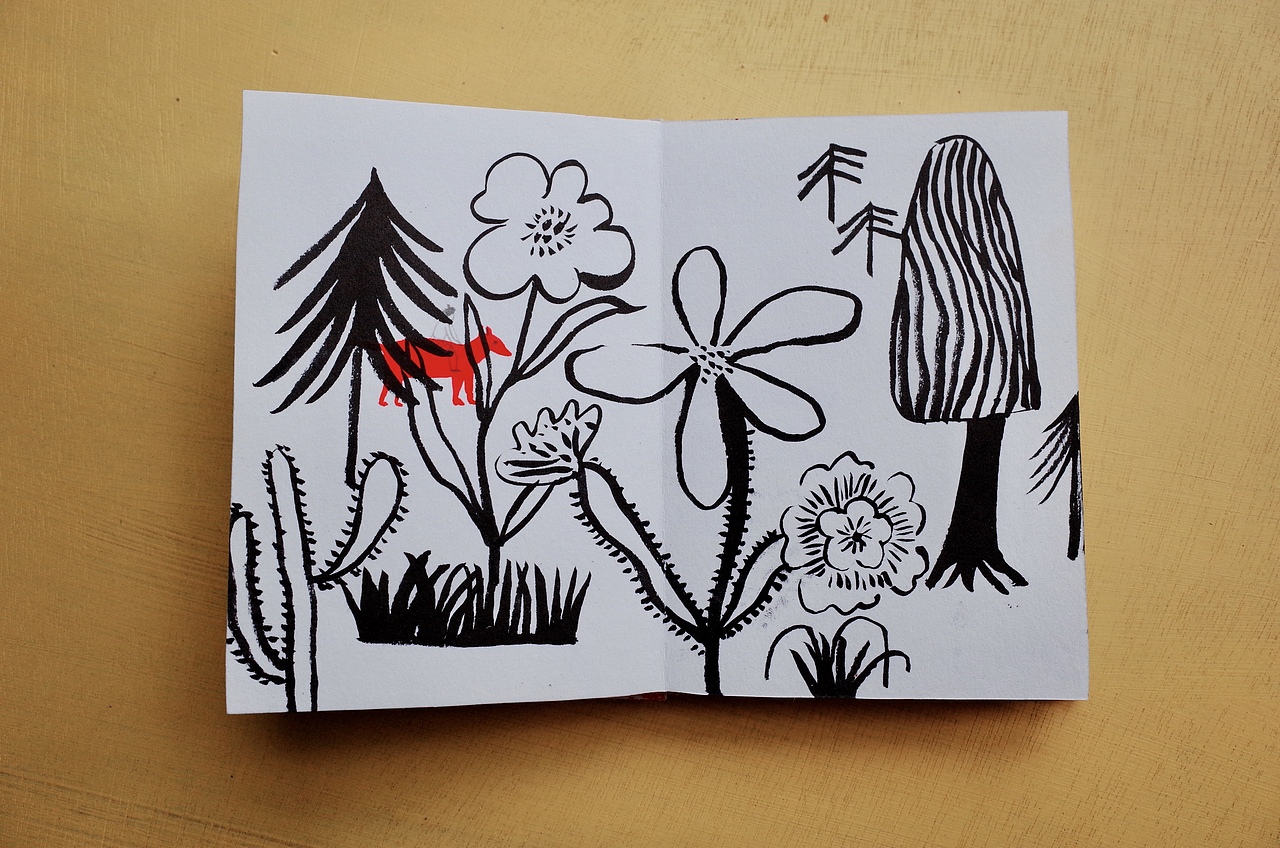 小故事《遇见你,我再也不流浪》