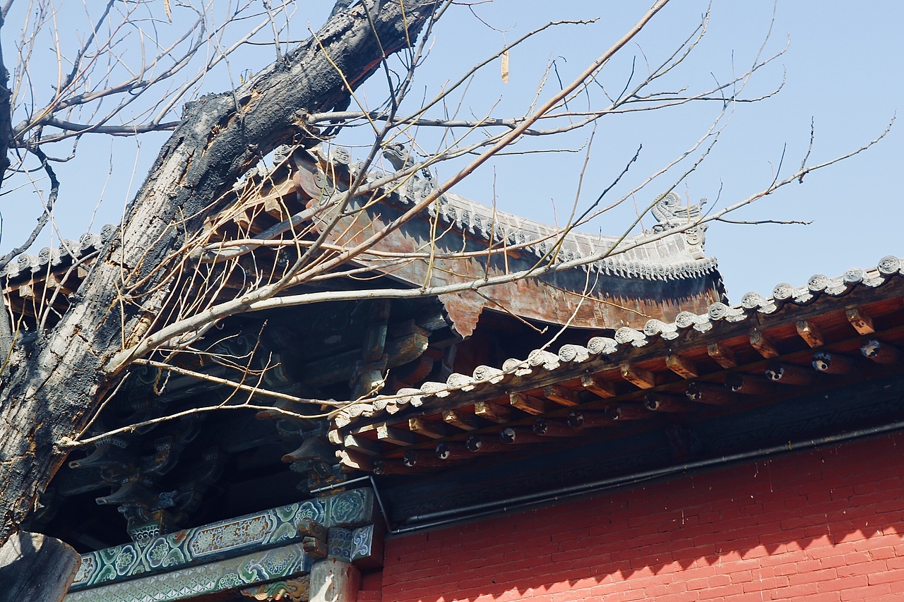 《眼前便是最好》（图ZMzA5MjA0Njk2） - 其他摄影 - 站酷设计师简浩原创素材 - 站酷ZCOOL