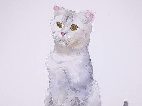 呆呆的小猫（个人主页-ZMzk3MTk3NTY=） - 绘画 - 站酷设计师萃艺博课堂原创素材 - 站酷ZCOOL