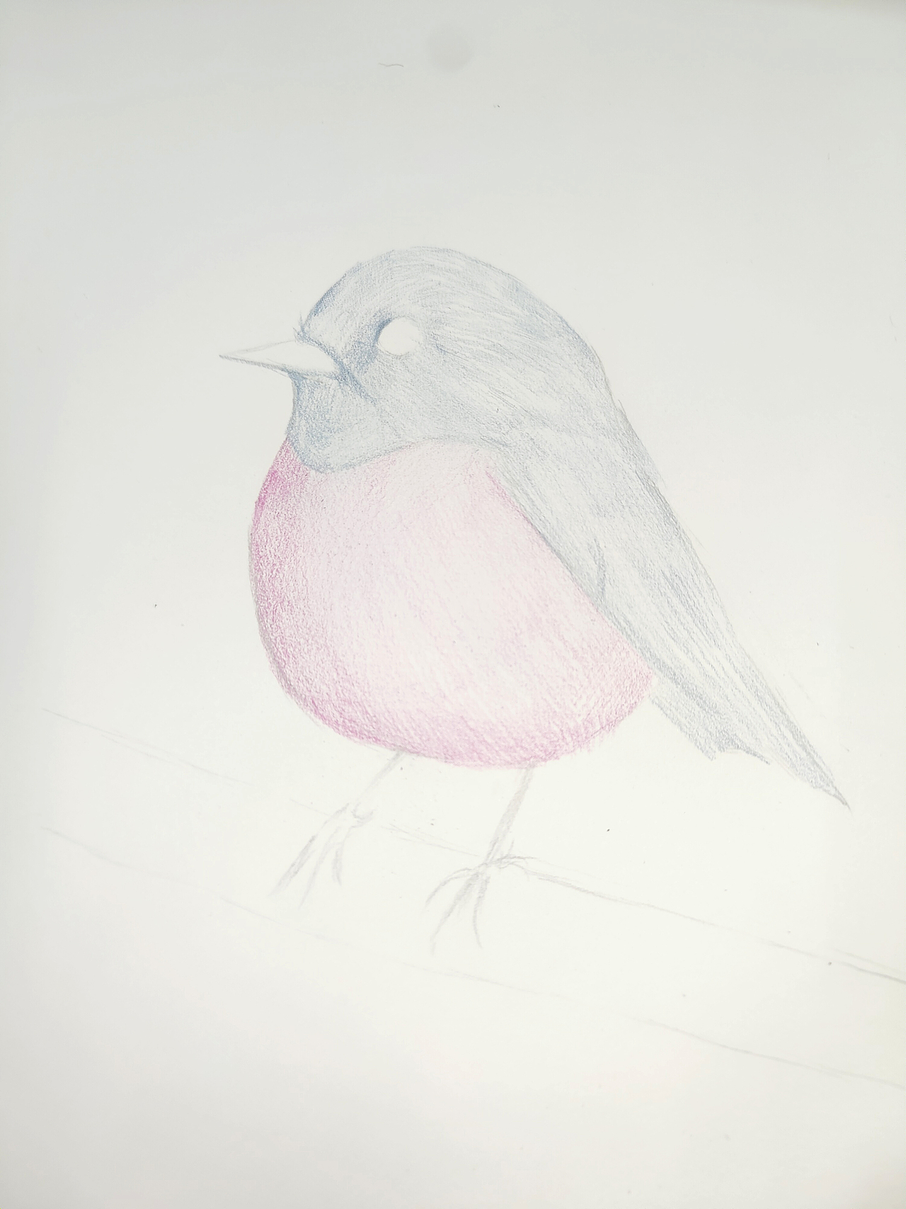 知更鳥（圖ZMjM1NzE0OTY0） - 繪畫 - 站酷設(shè)計師可小萌kiko原創(chuàng)素材 - 站酷ZCOOL