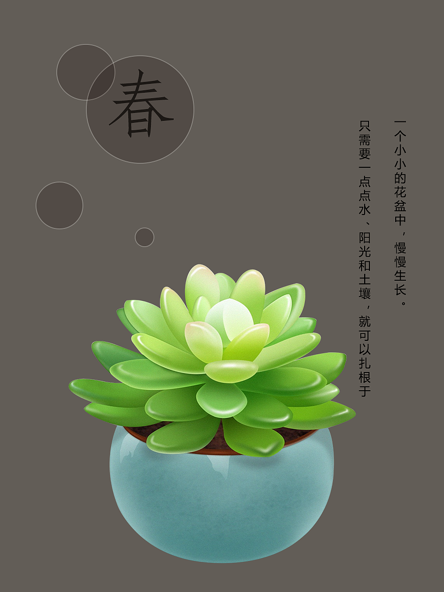 多肉（图ZMjk0OTYwOTg0） - 其他平面 - 站酷设计师LYLYLIY原创素材 - 站酷ZCOOL