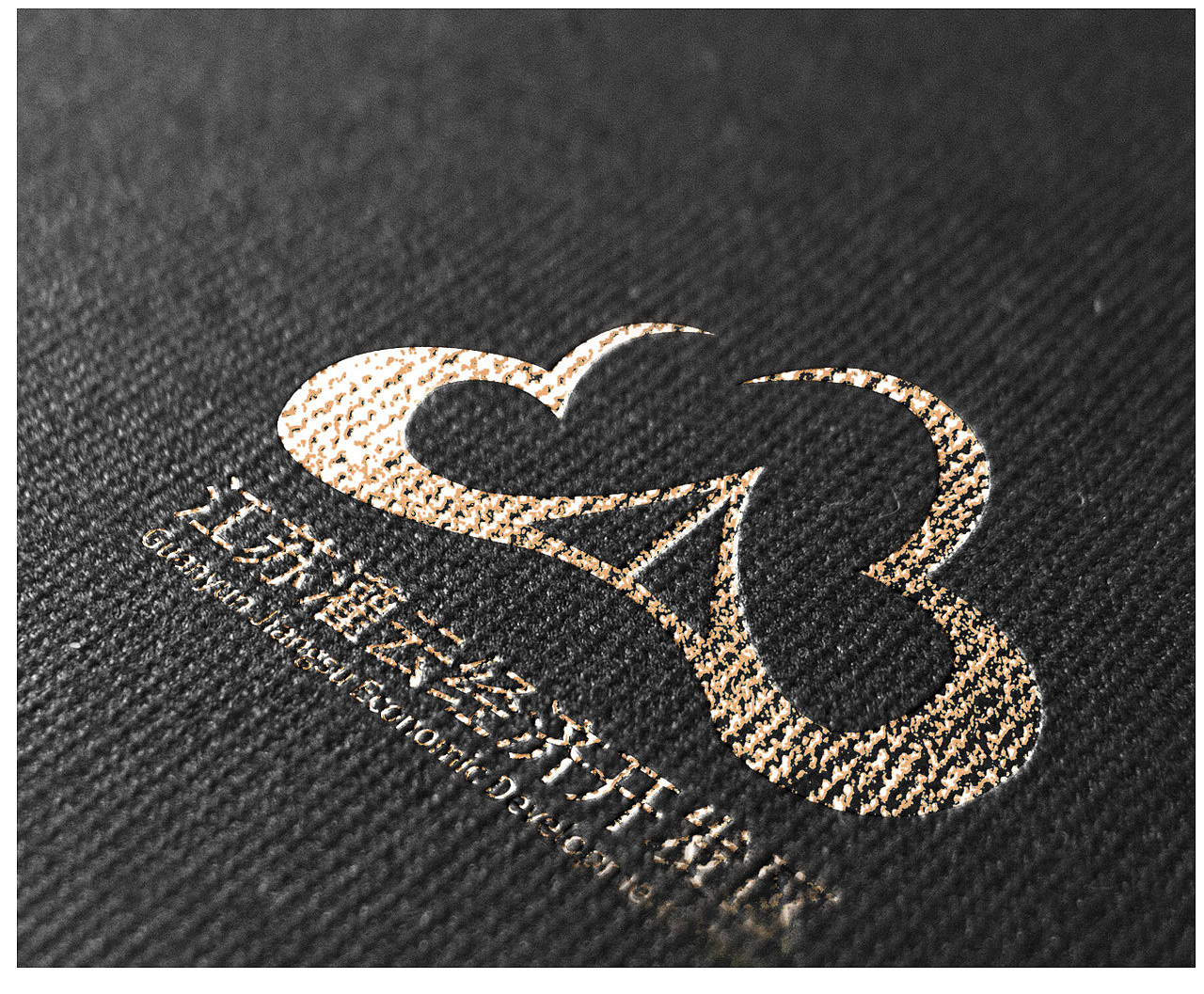 江苏灌云经济开发区logo设计提案