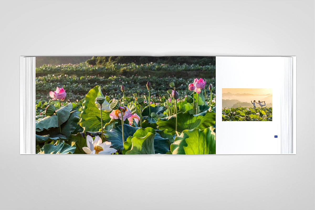 清新花香·福源建宁-精装画册-源艺设计