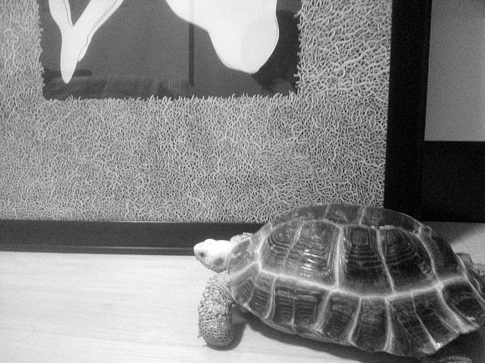 109个小时,两开《禁锢》全记录（图ZMTQxMDc4NjQ=） - 新锐潮流插画 - 站酷设计师墩小贤原创素材 - 站酷ZCOOL