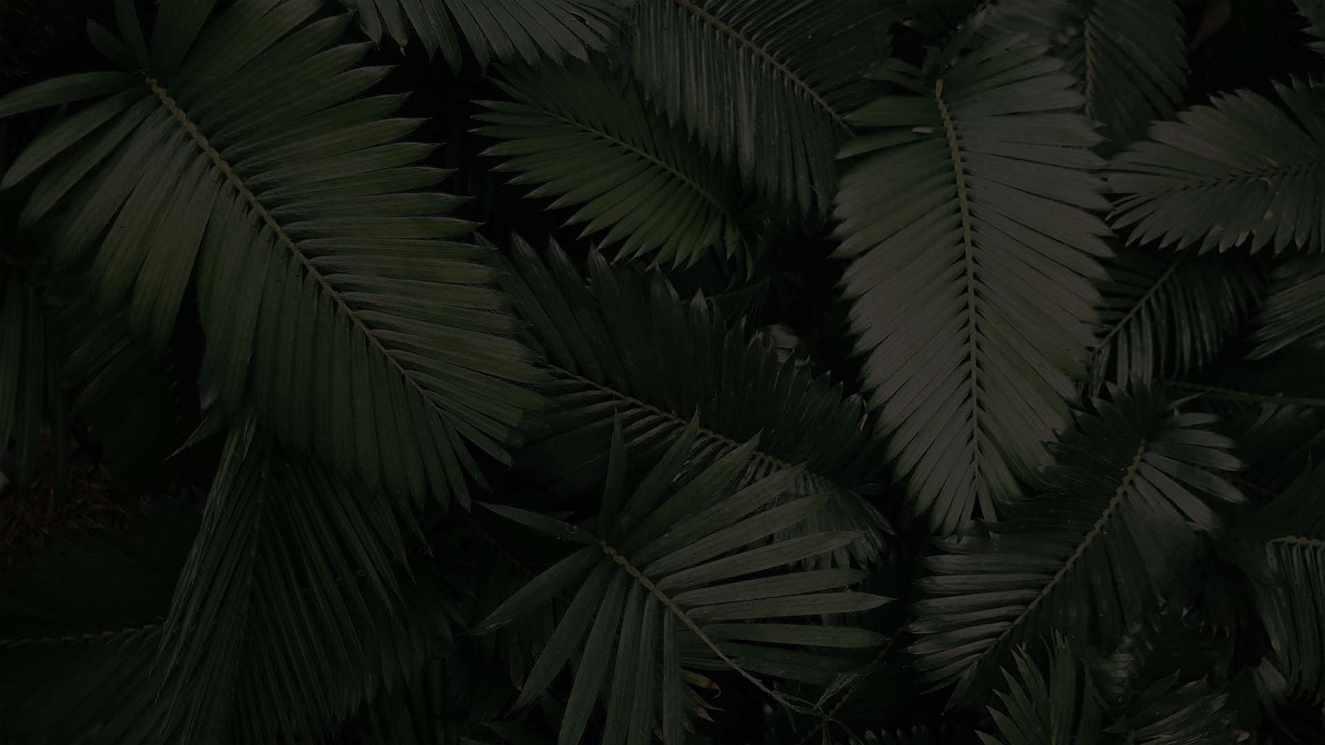 Lexkon_Liu的个人主页(背景预览) - 主页背景设置 - 站酷设计师Lexkon_Liu原创素材 - 站酷ZCOOL