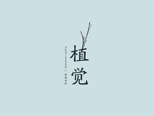 花艺家画册