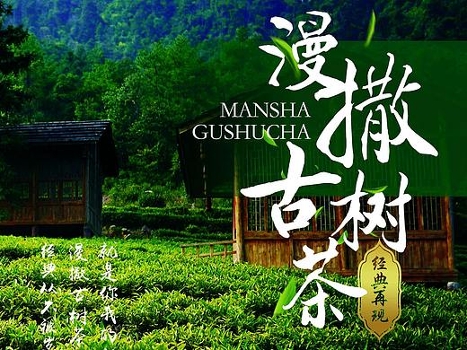 漫撒古树茶宣传展架（个人主页-ZMjQ0MTI4NTY=） - 海报 - 站酷设计师BIN1原创素材 - 站酷ZCOOL