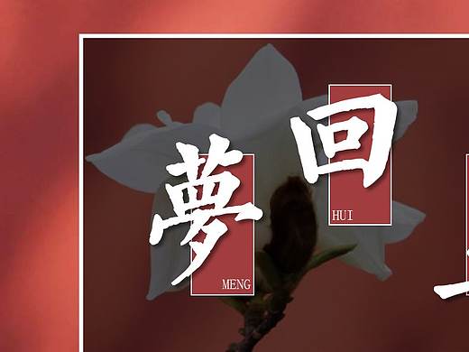 白玉兰