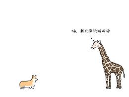 绘本